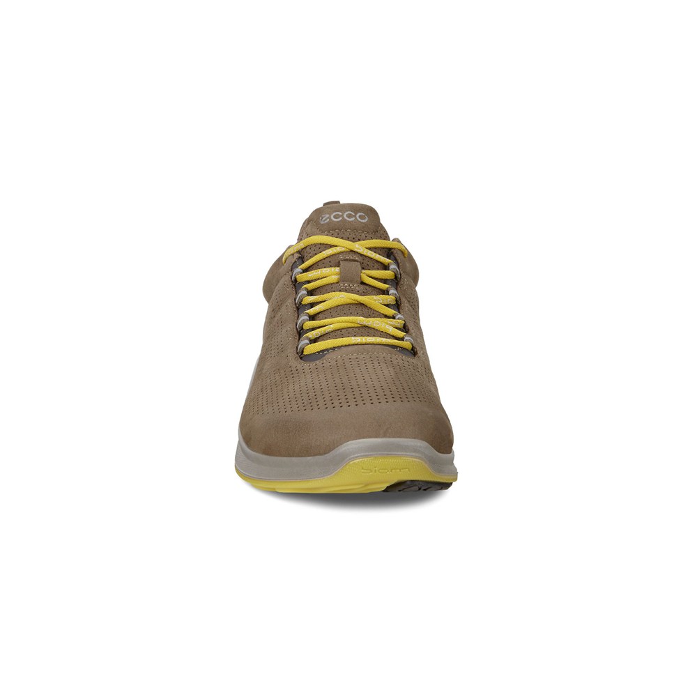 Mens Hiking Shoes - ECCO Biom Fjuel Perf - Brown - 4521ASPIV
